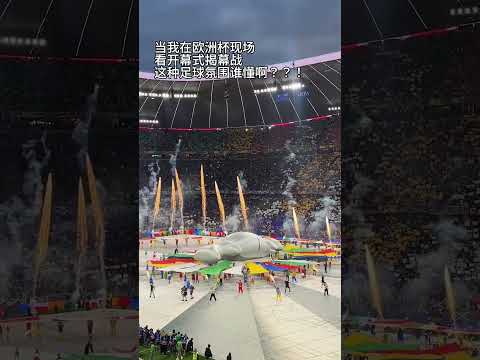 中超金元时,代再剖析,外援天价年,M6,MiLe,米乐YY易游,米乐YY易游体育入口,米乐YY易游官网,米乐YY易游体育APP下载