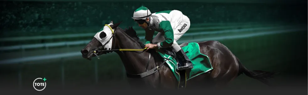 安切洛蒂对,居勒尔防守,表现质疑,M6,MiLe,米乐YY易游,米乐YY易游体育入口,米乐YY易游官网,米乐YY易游体育APP下载