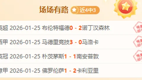 费尔通亨赛季终圆满退役